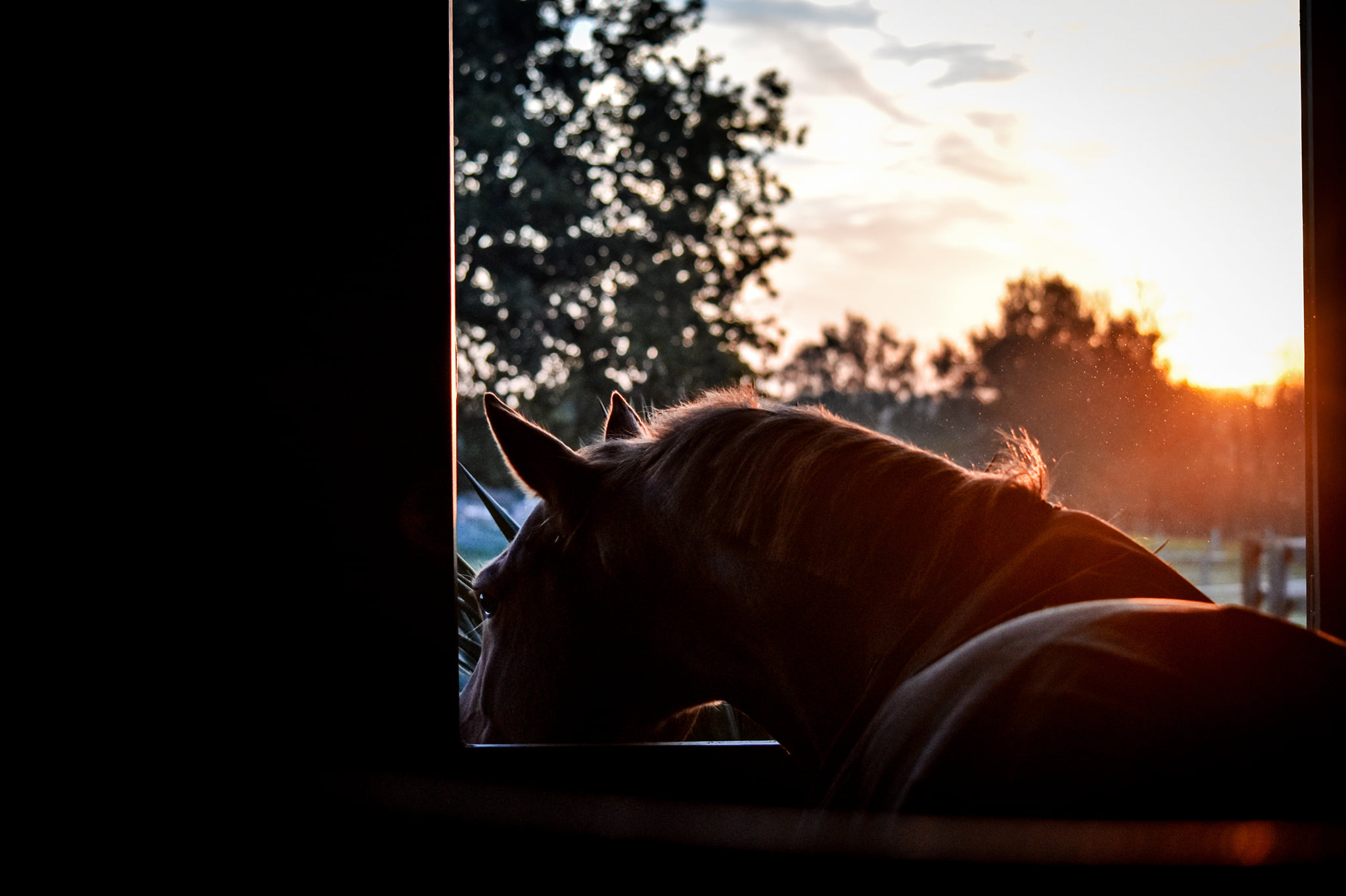 Espace Equestre de Mazerolles